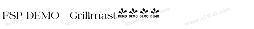 FSP DEMO   Grillmast字体转换